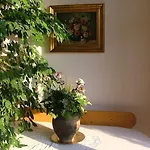 Agas Vendeghaz Чопак