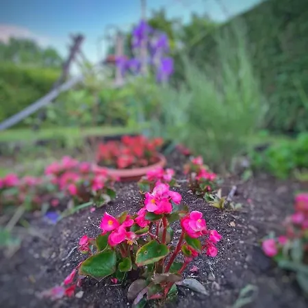 Agas Vendeghaz Гостевой дом Чопак