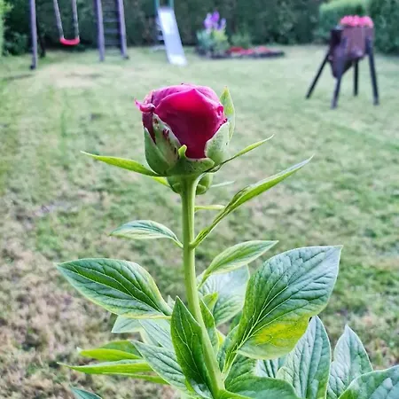 Гостевой дом Agas Vendeghaz 3*