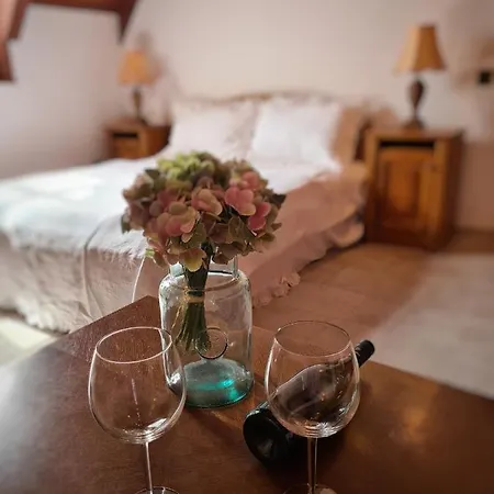 Agas Vendeghaz Csopak