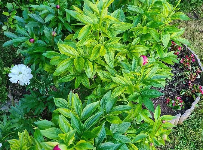 Agas Vendeghaz Affittacamere