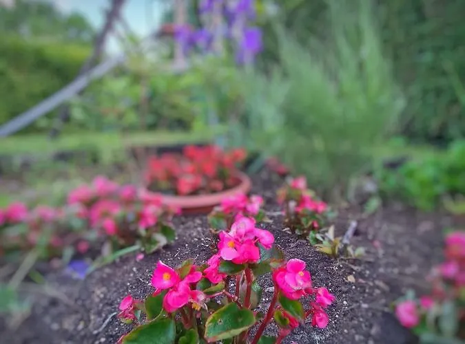 Agas Vendeghaz Affittacamere Csopak