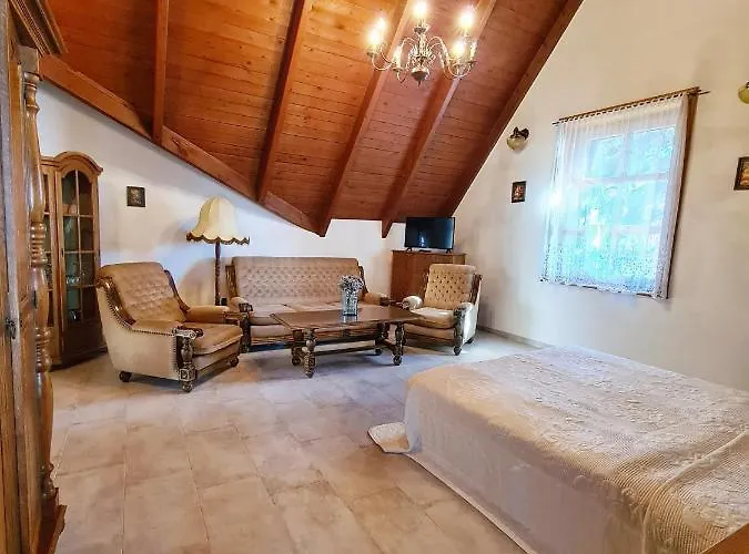 Agas Vendeghaz Penzion 3*