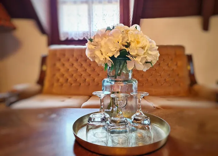 Agas Vendeghaz Penzion Csopak