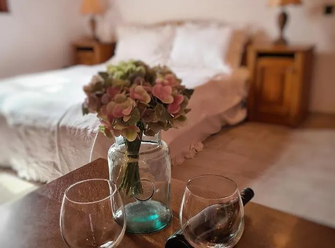 Agas Vendeghaz Csopak