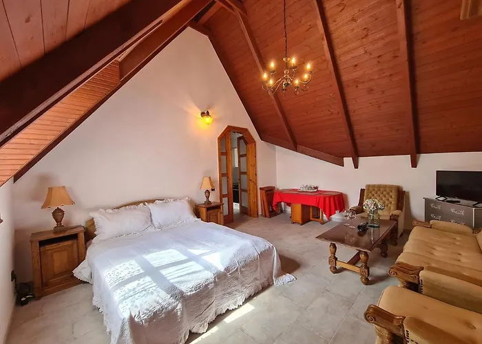 Agas Vendeghaz Csopak