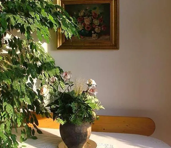 Agas Vendeghaz Csopak